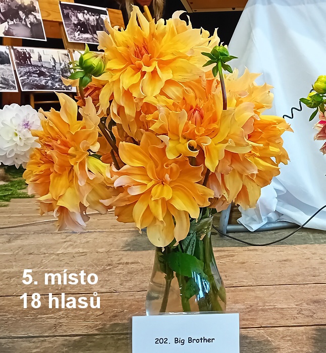 05-5 misto.jpg